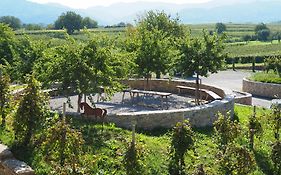 Privatweingut Schmidt